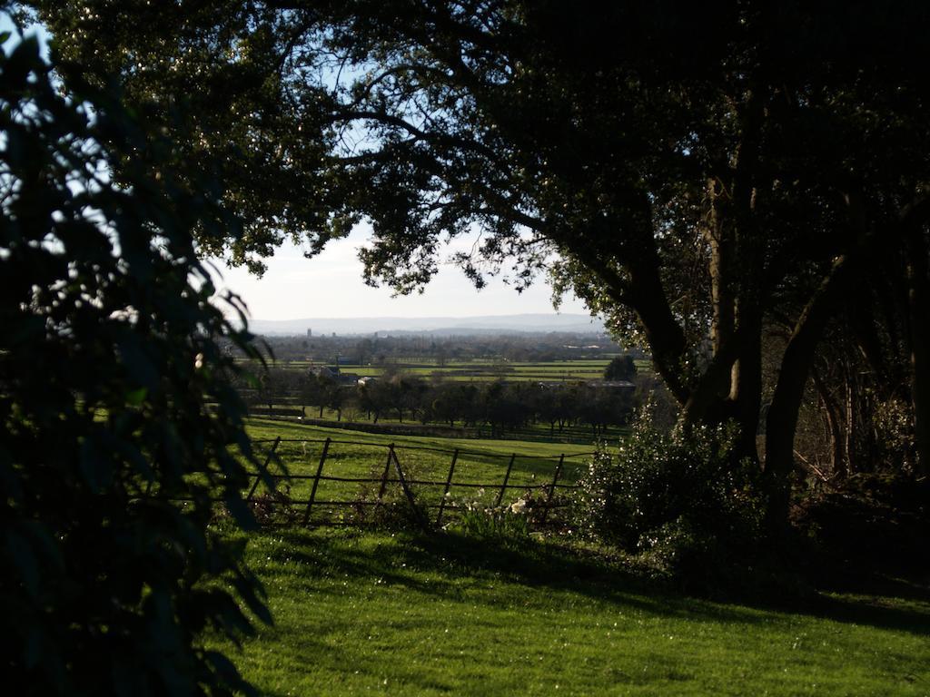 The Mount Somerset Vendégház Taunton Kültér fotó